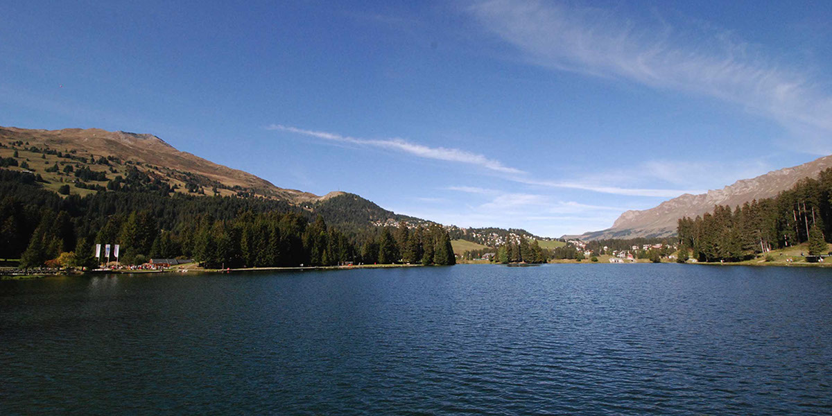 Der Lenzerheidner See im Sommer, Blick in Richtung Norden