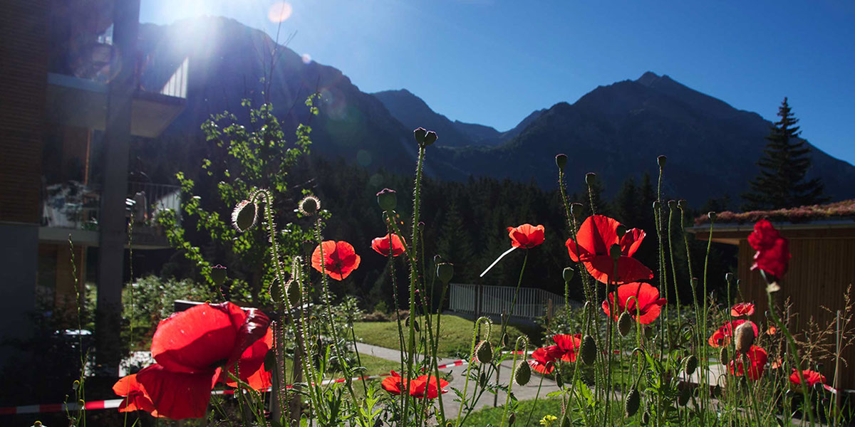 Blick auf das Parpaner Rothorn und das Lenzerhorn aus der Ferienwohnung Laina am See im Sommer
