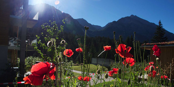 Blick auf das Parpaner Rothorn und das Lenzerhorn aus der Ferienwohnung Laina am See im Sommer